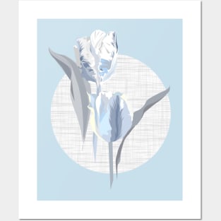 white blue gray parrot tulip Posters and Art